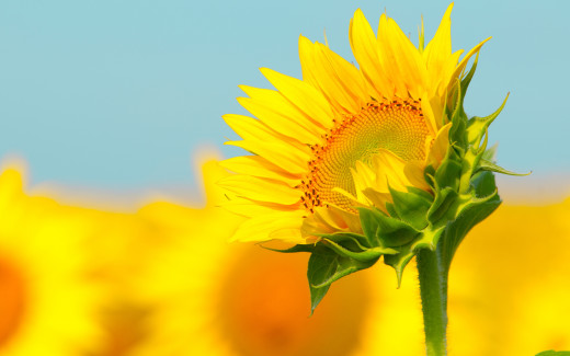 647641 (a): :2560x1600